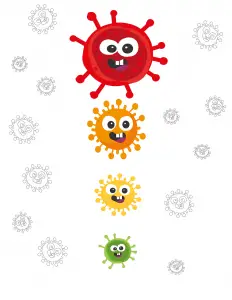 Aantal Corona virus besmettingen regio waadhoeke COVID 19