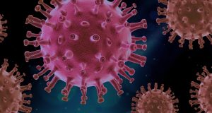 Aantal Coronavirus besmettingen in wormerland COVID 19