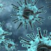 Coronavirus totaal aantal doden en top 3 meest getroffen landen