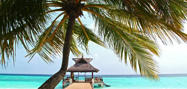 Aantal Corona virus besmettingen in Maldiven