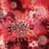 Hoe beïnvloedt het coronavirus onze dagelijkse rituelen?