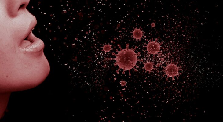 heeft het coronavirus ervoor gezorgd dat de bevolkingsgroei is gehalveerd in 2020?