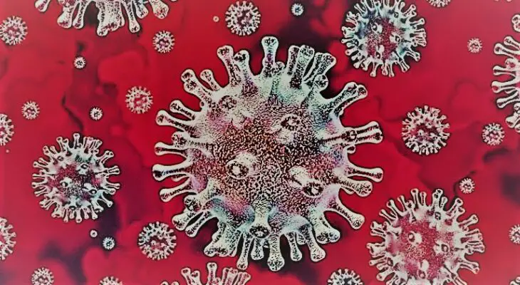Nieuwe variant coronavirus ontdekt, met ‘extreem hoog aantal’ mutaties