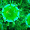 Omikron: Oorsprong en Maatregelen tegen de coronavirus-variant