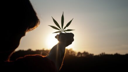 Studie: cannabis kan corona infectie voorkomen