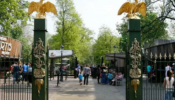 Dierentuinen open vanaf Woensdag: Artis, Apenheul, Burgers Zoo, Blijdorp, Ouwhands Dierenpark