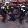 VN-rapporteur kritisch over #politiegeweld bij coronaprotesten