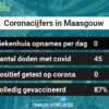 Coronavirus in Maasgouw Kaart, Aantal besmettingen en het lokale Nieuws