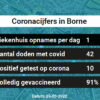 Coronavirus in Borne Kaart, Aantal besmettingen en het lokale Nieuws
