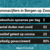 Coronavirus in Bergen op Zoom Kaart, Aantal besmettingen en het lokale Nieuws