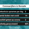 Coronavirus in Borsele Kaart, Aantal besmettingen en het lokale Nieuws