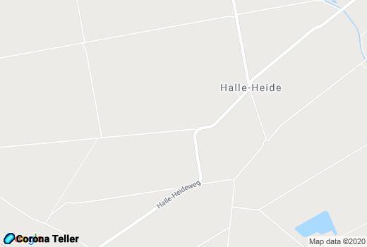 Google Maps Halle informatie 
