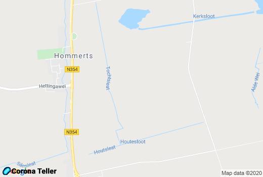  actueel Hommerts Google Maps