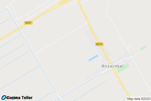  overzicht Roswinkel Maps