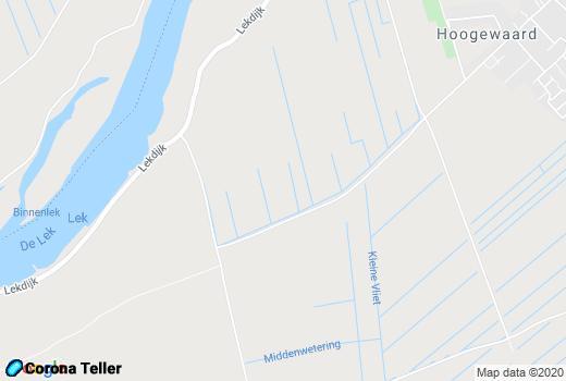 Google Map Tienhoven aan de Lek lokaal 